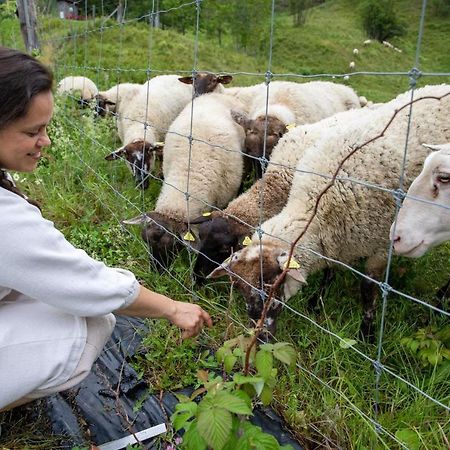 La Vieille Ferme, Ecogite Saint-Fulgence Eksteriør bilde