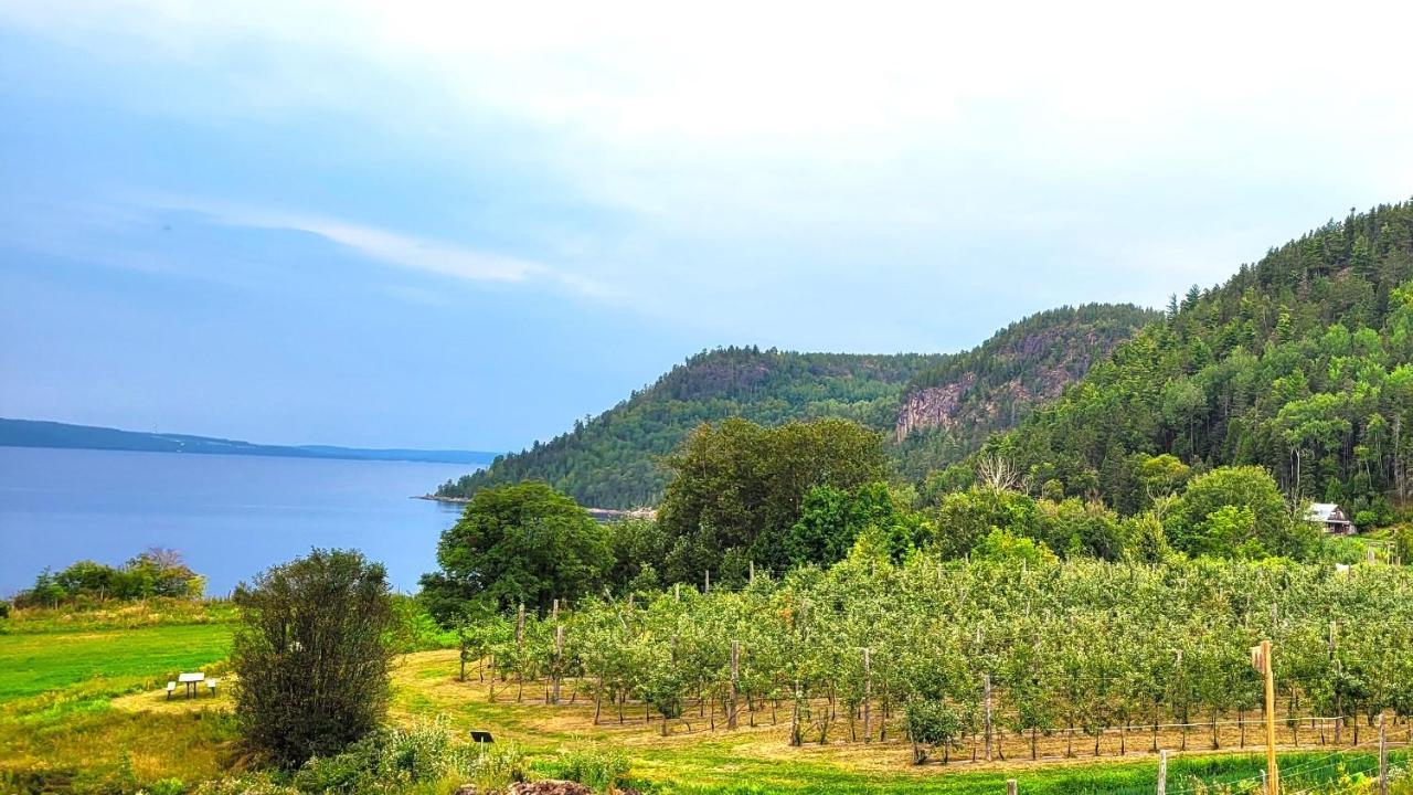 La Vieille Ferme, Ecogite Saint-Fulgence Eksteriør bilde