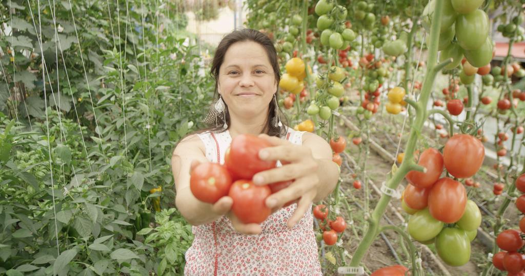 La Vieille Ferme, Ecogite Saint-Fulgence Eksteriør bilde